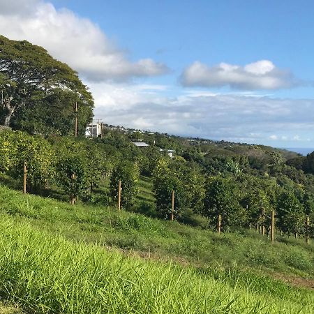 ホテル Nohokai At Kona Joe Coffee Farm Kealakekua エクステリア 写真