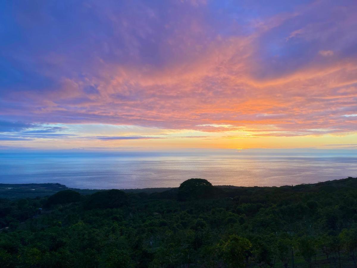 ホテル Nohokai At Kona Joe Coffee Farm Kealakekua エクステリア 写真